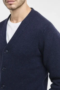 Cardigan con bottoni Daniele Fiesoli in lana merino extrafine