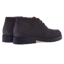 Polacco Santoni in camoscio
